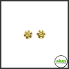 LA Capa Customs S1 Grip Screws - Gold